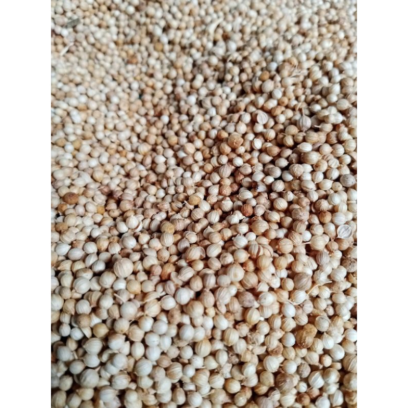 

Ketumbar kuning utuh 200grm, 500grm.