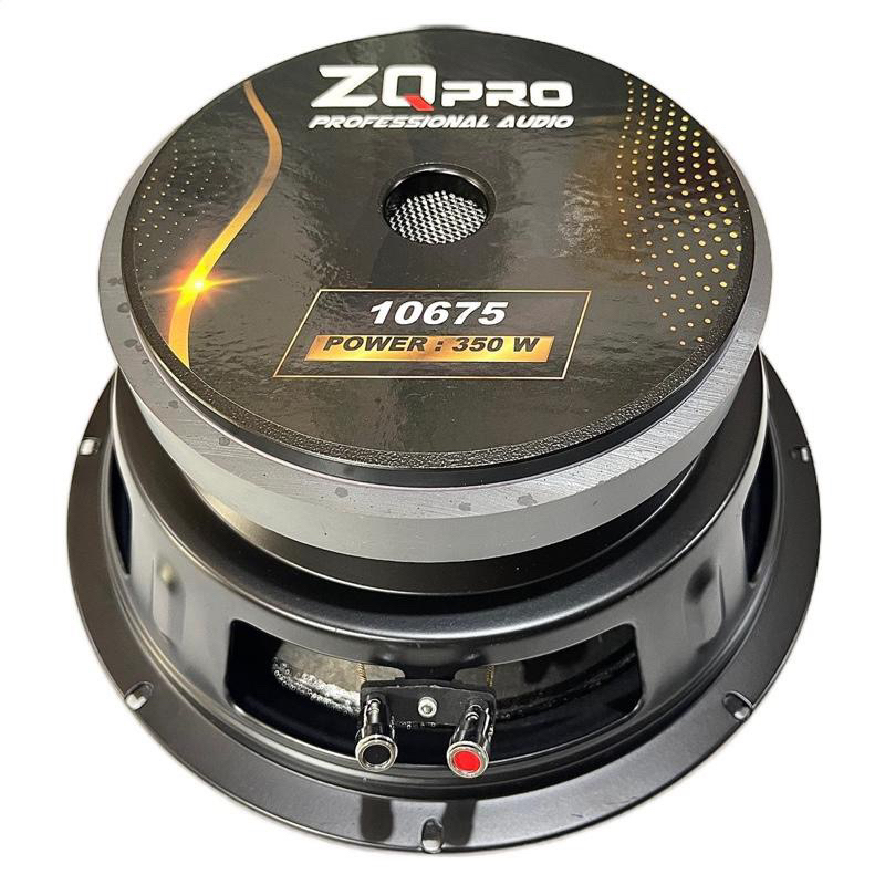 Speaker ZQ PRO 10 inc 10675 | speaker ZQPRO 10inc 1067