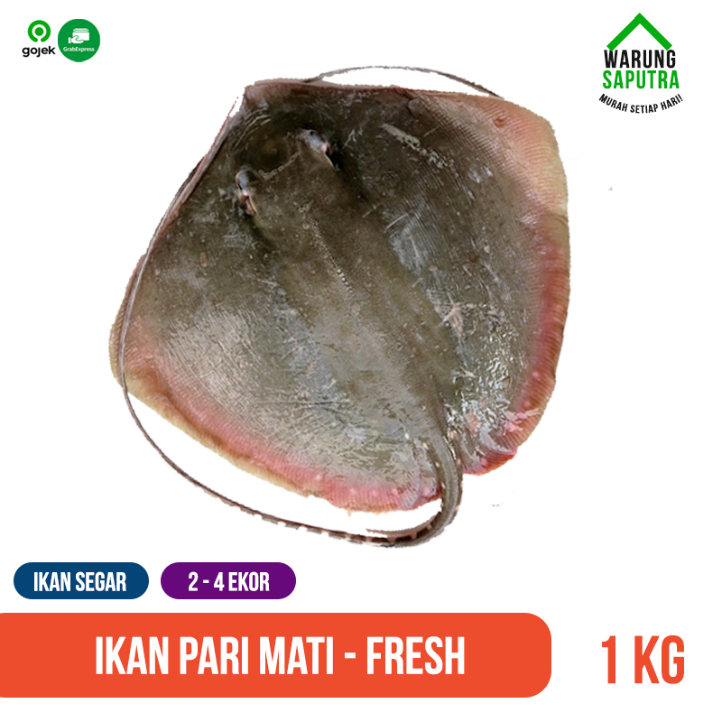 

Ikan Pari Mati Segar Utuh 1 kg