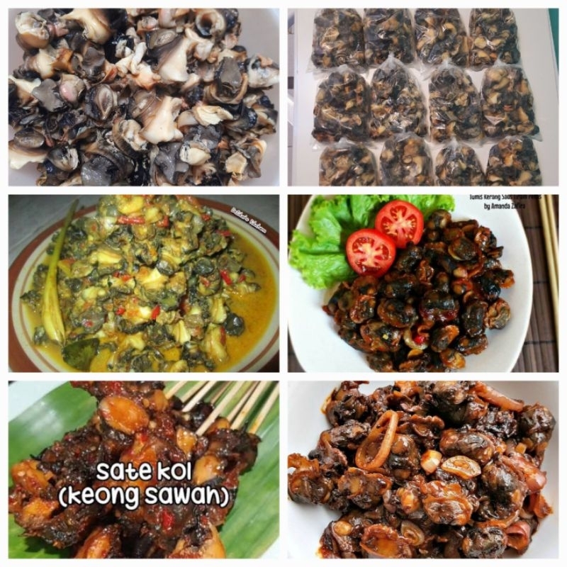 

Tutut Kol mentah 250g