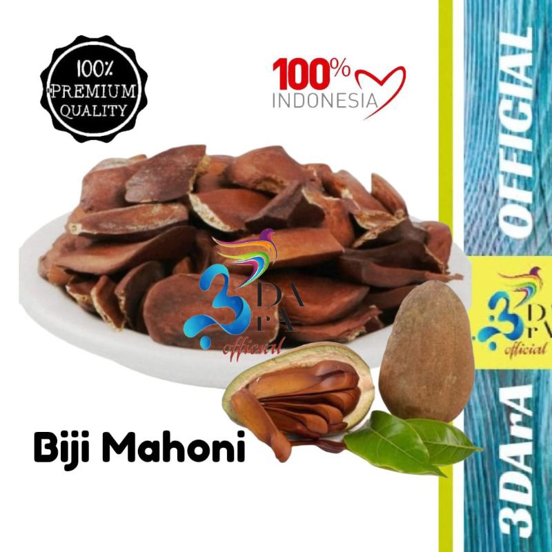 

Biji Mahoni Kering Asli Kualitas Premium