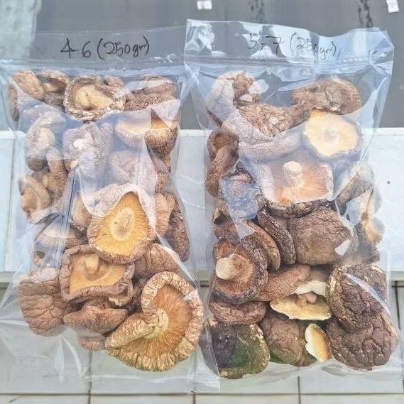 

Jamur Shiitake - Hiokou Mentah IKPS 250 gr ukran D 4-6 cm & 5-7 cm