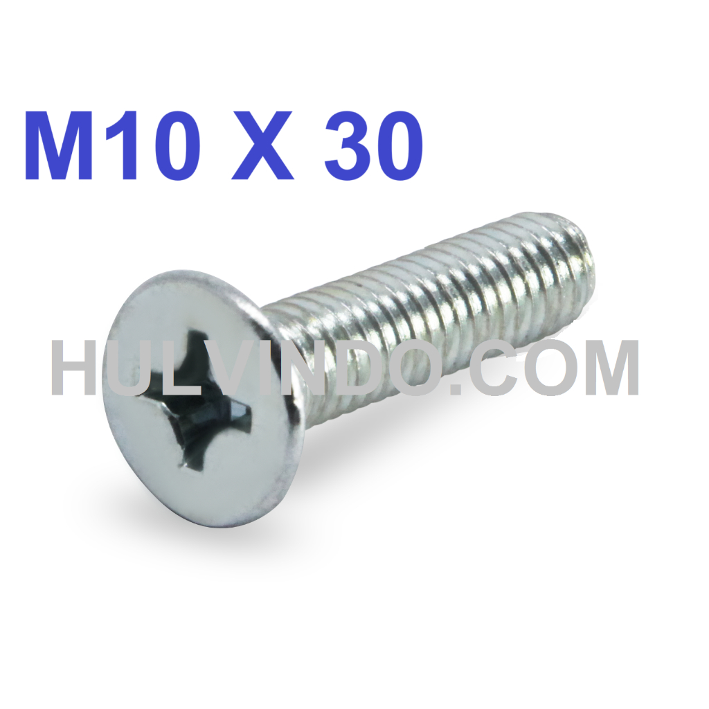 BAUT JF FLAT HEAD GALVANIS PUTIH M10 X 30