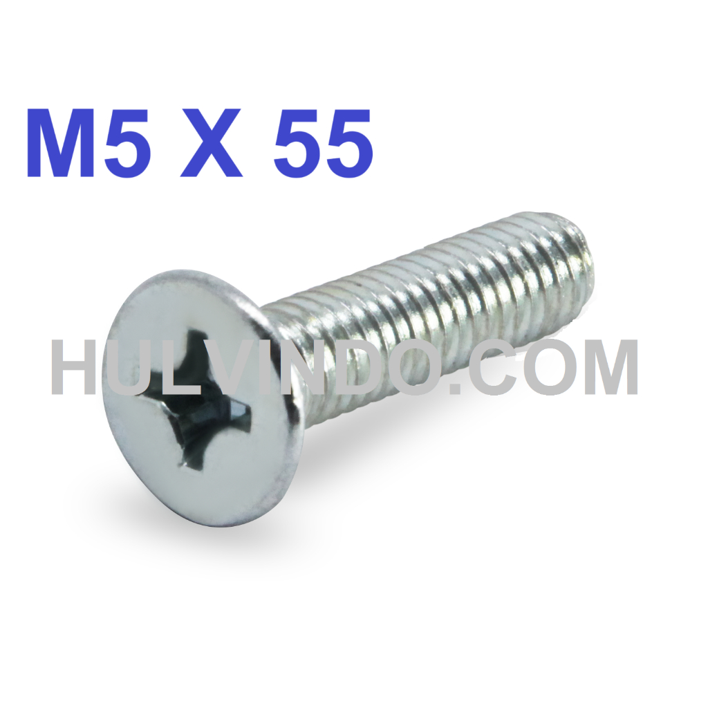 BAUT JF FLAT HEAD M5 X 55