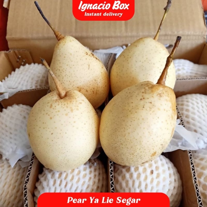 

Buah Pir | Pear Ya Lie 1 Dus isi 15 Kg Fresh Import IgnacioBox