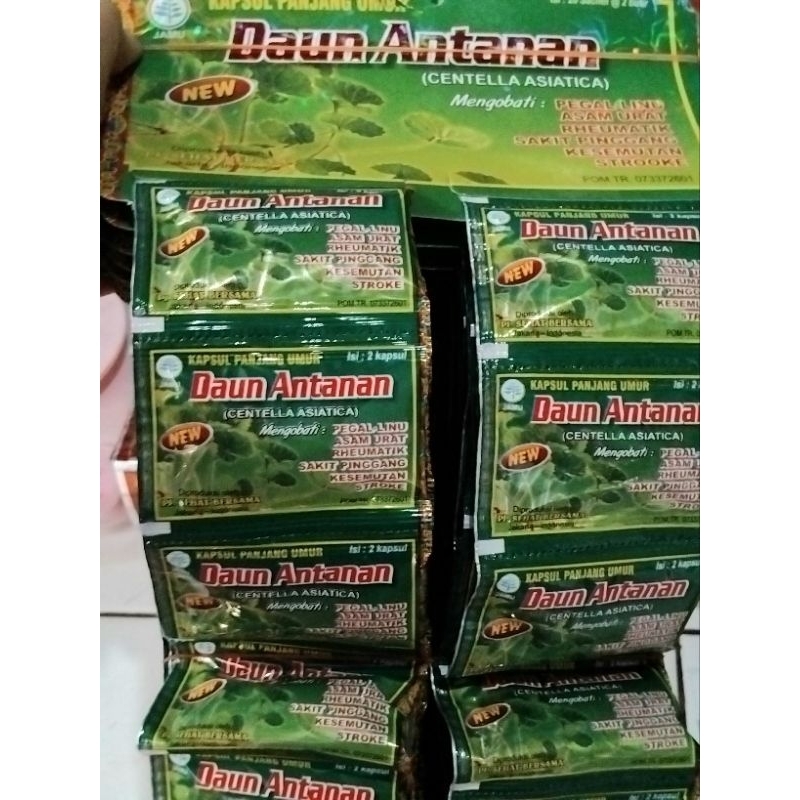 Kapsul Asam Urat Daun Antanan Original