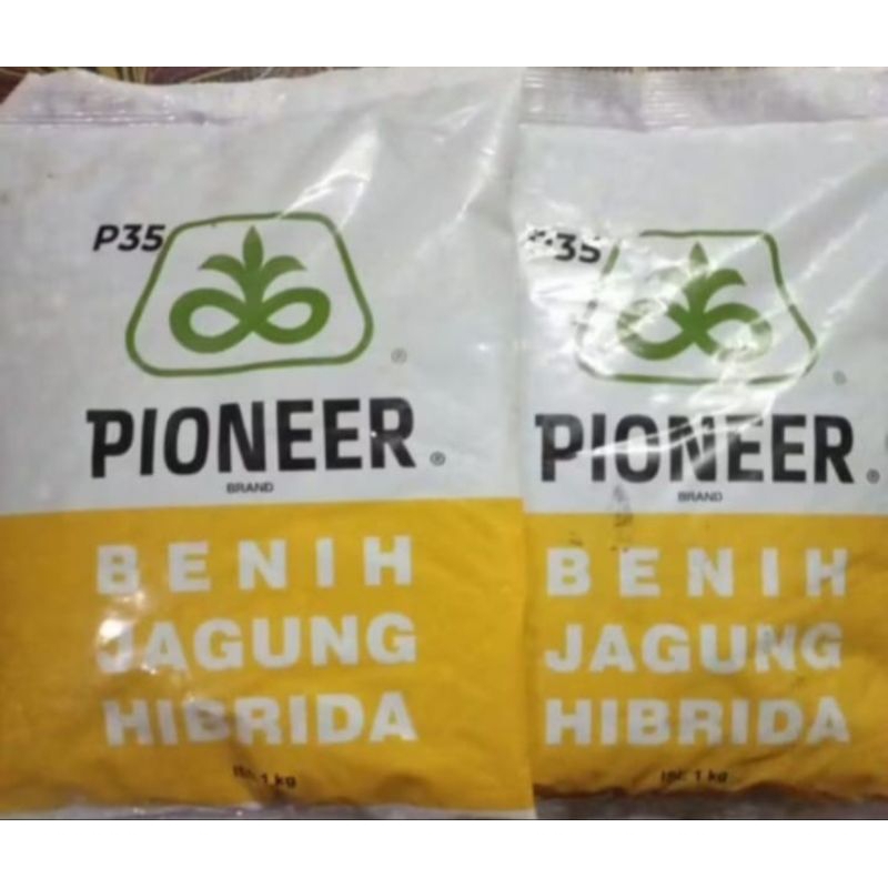 

pioner 35 exp bln 11 2025