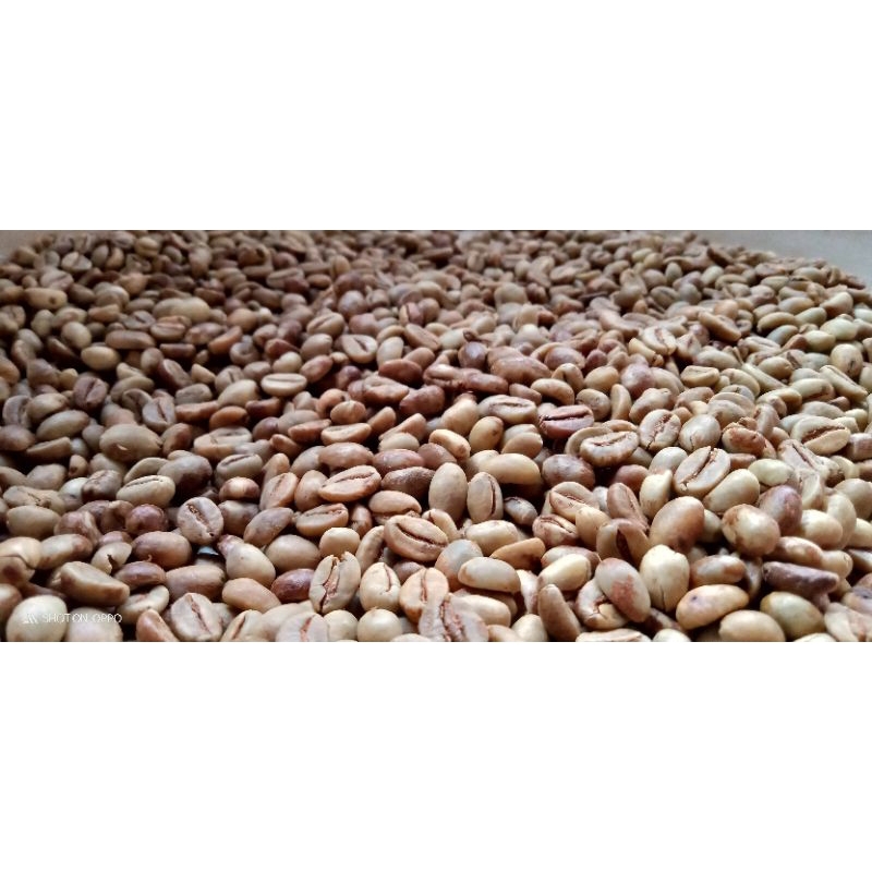 

kopi robusta natural robusta 1000gram asli temanggung