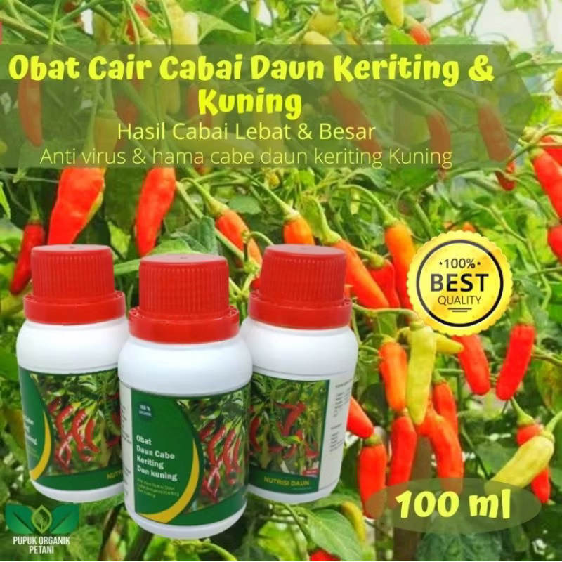 Pupuk cabai obat semprot anti virus kriting pupuk organik bulai cabai / Cabe ,Pupuk Organik Cabai an