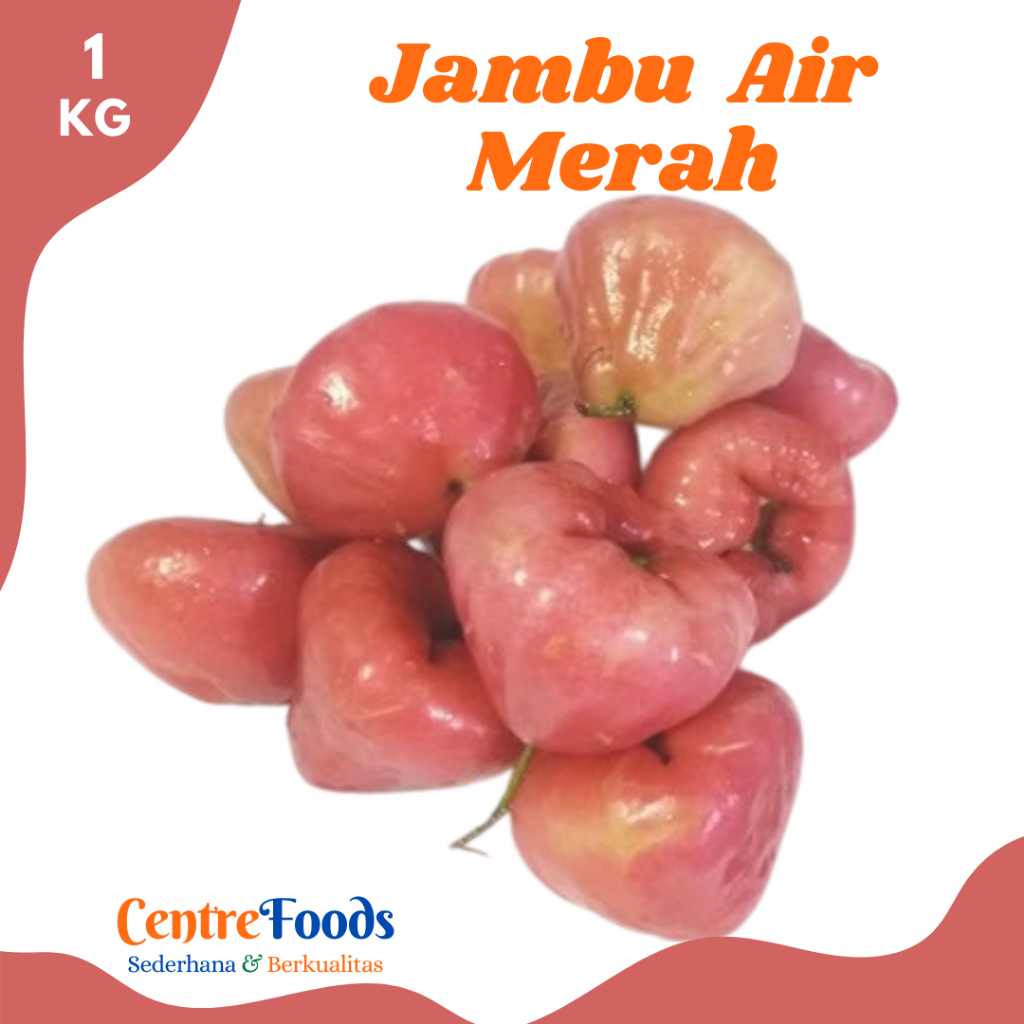 

JAMBU AIR Merah - Buah Jambu Air Merah General Fresh | 1.000gr [ Harga Per KG ]