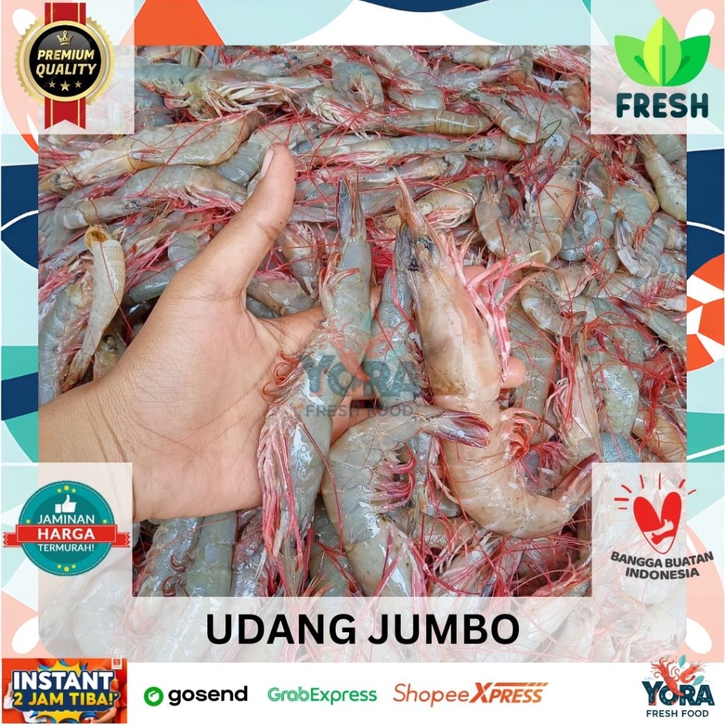 

UDANG SEGAR PREMIUM SIAP MASAK TERMURAH