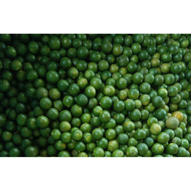 

jeruk sonkit segar untuk minuman 1KG
