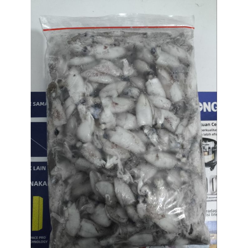 

Frozen Baby Cumi 1 kg