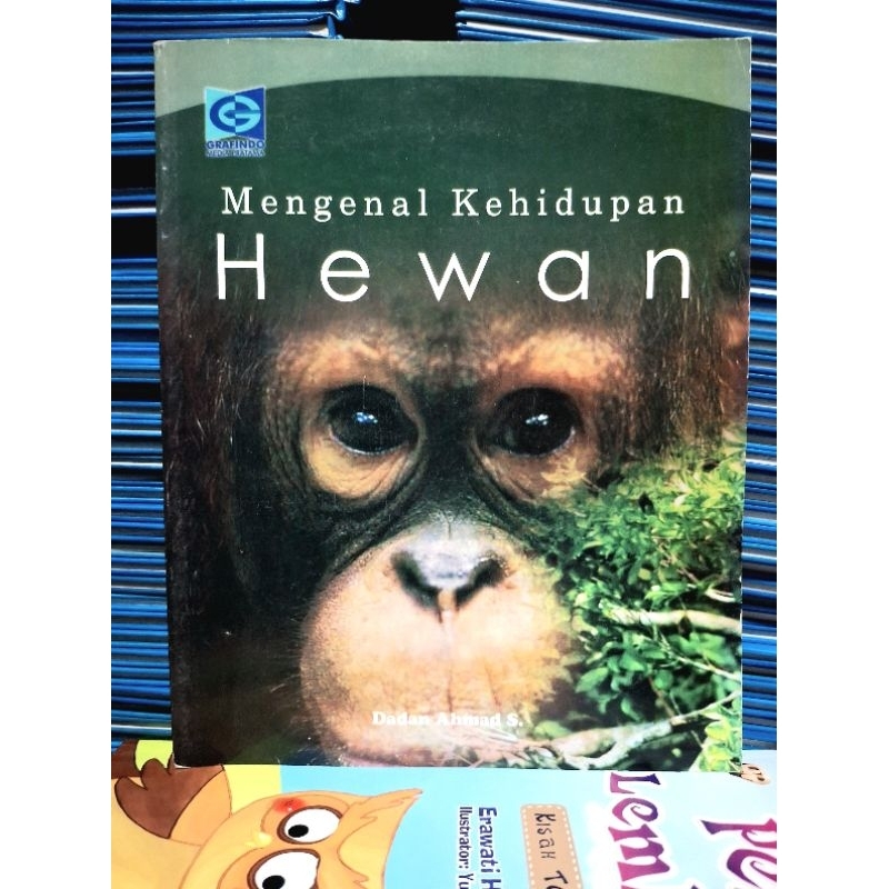 mengenal kehidupan hewan