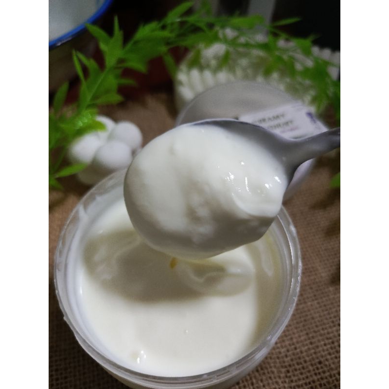 

Yoghurt Set Homemade Natural 100% / semi Greek cocok untuk salad anak anak dewasa lansia