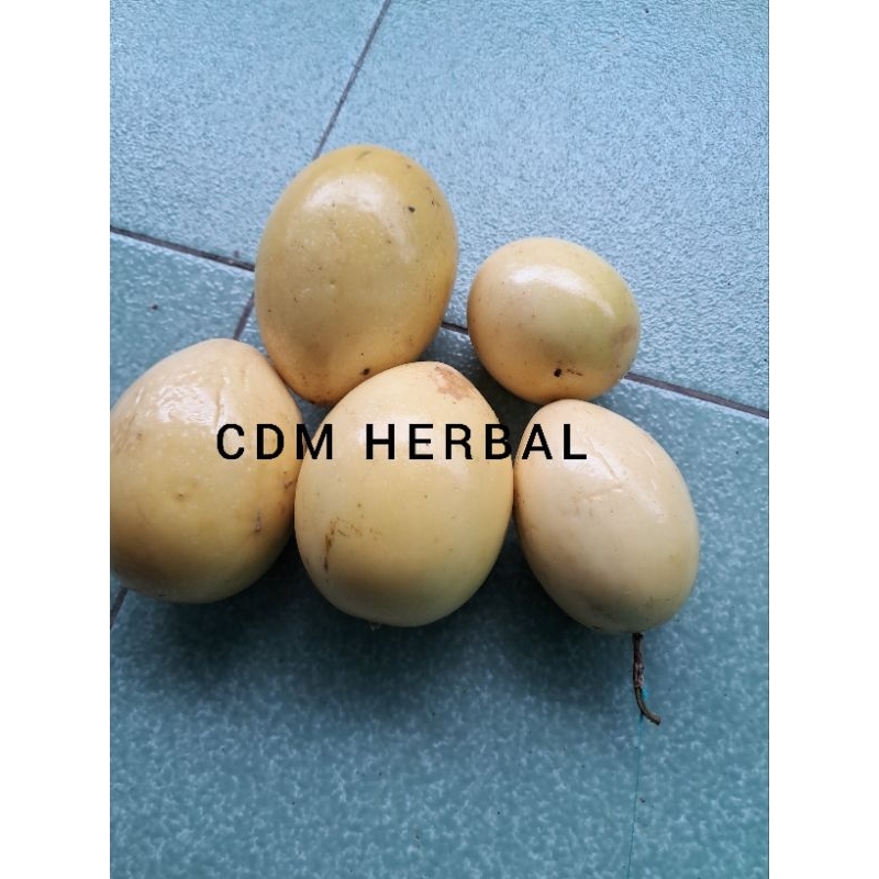 

buah markisa segar atau saprola asem2 manis1kg