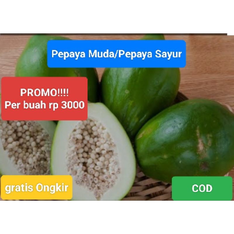 

Buah Pepaya Muda-Pepaya Sayur