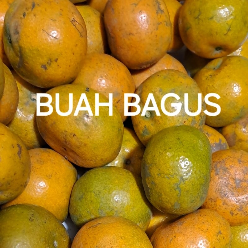 

Jeruk Medan 500gr