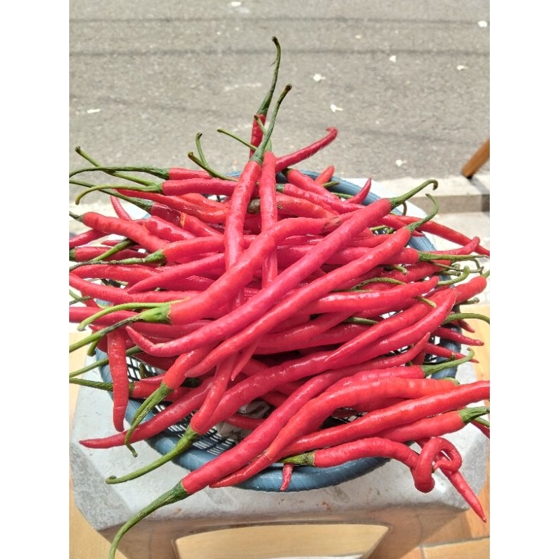 

Cabe Merah Keriting Fresh