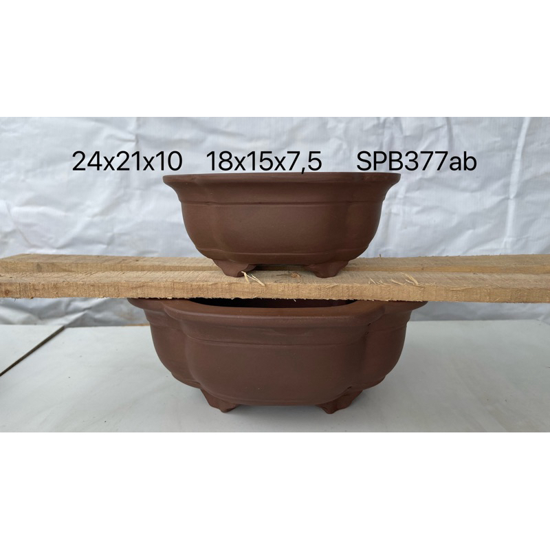 pot keramik bonsai import oval