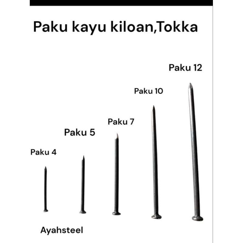 paku kayu tokka seri