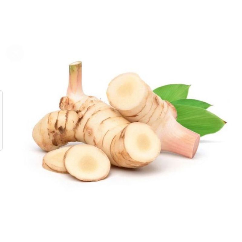 

PROMO Lengkuas Laos rempah rempah