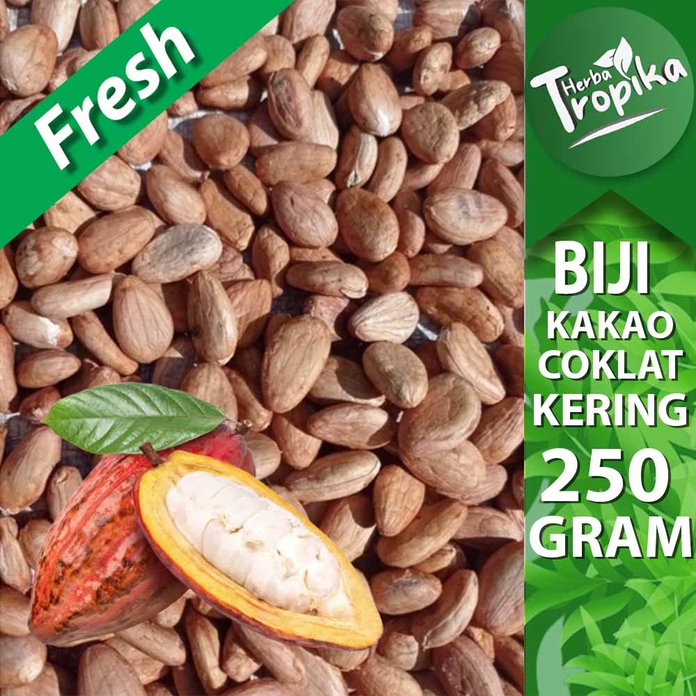 

Biji Coklat Kakao Kering 250 gram rempah dan herbal alami toko herba tropika