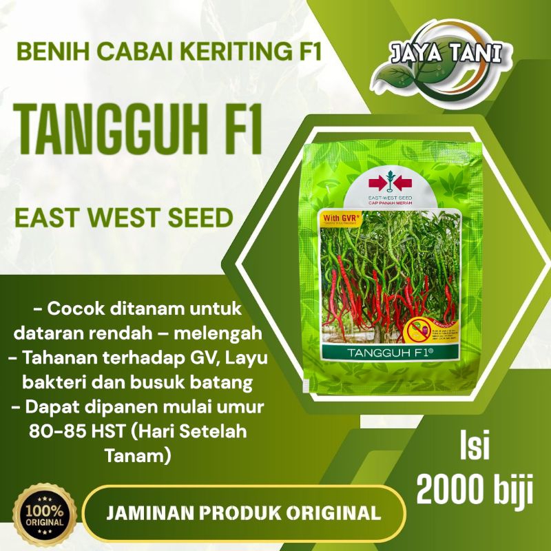 Benih Cabai Merah Keriting TANGGUH F1 2000butir - Cap Panah Merah