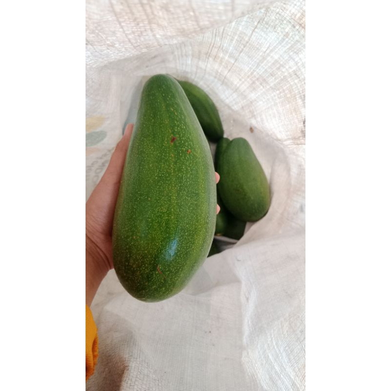 

ALPUKAT MENTEGA PREMIUM (1kg isi 2biji)