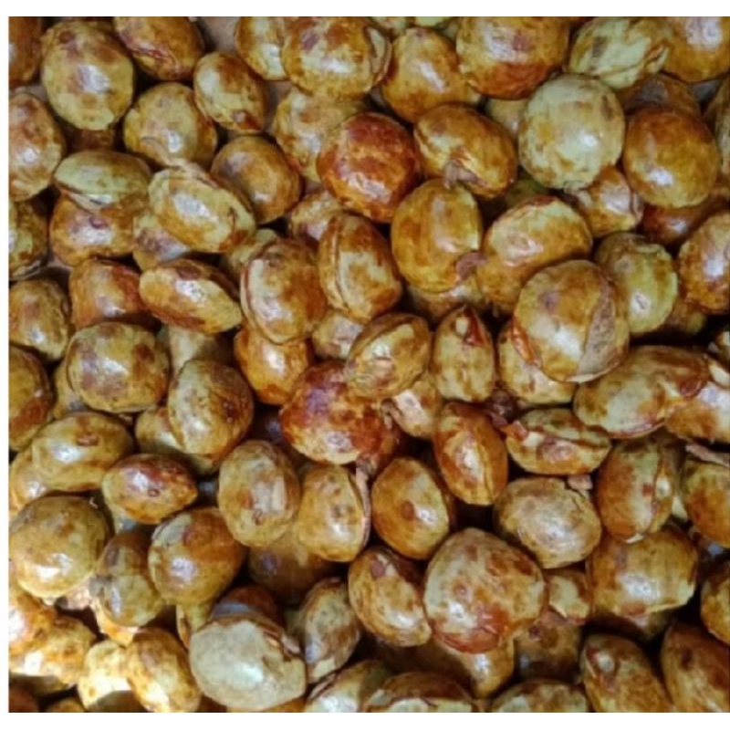 

jengkol tua 1kg