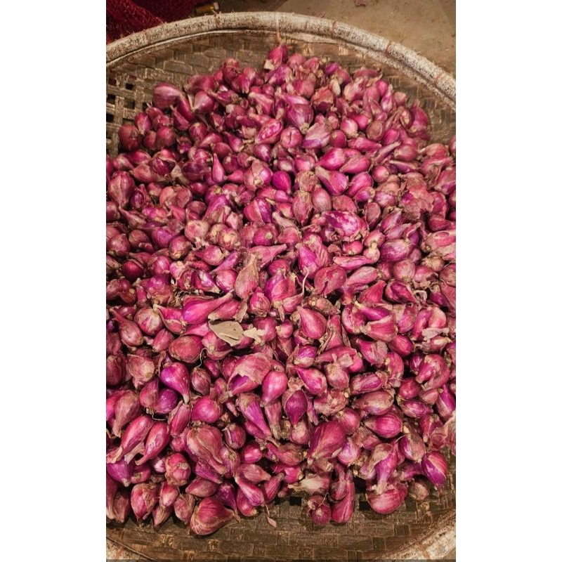 

BAMER BAWANG MERAH BREBES SUPER