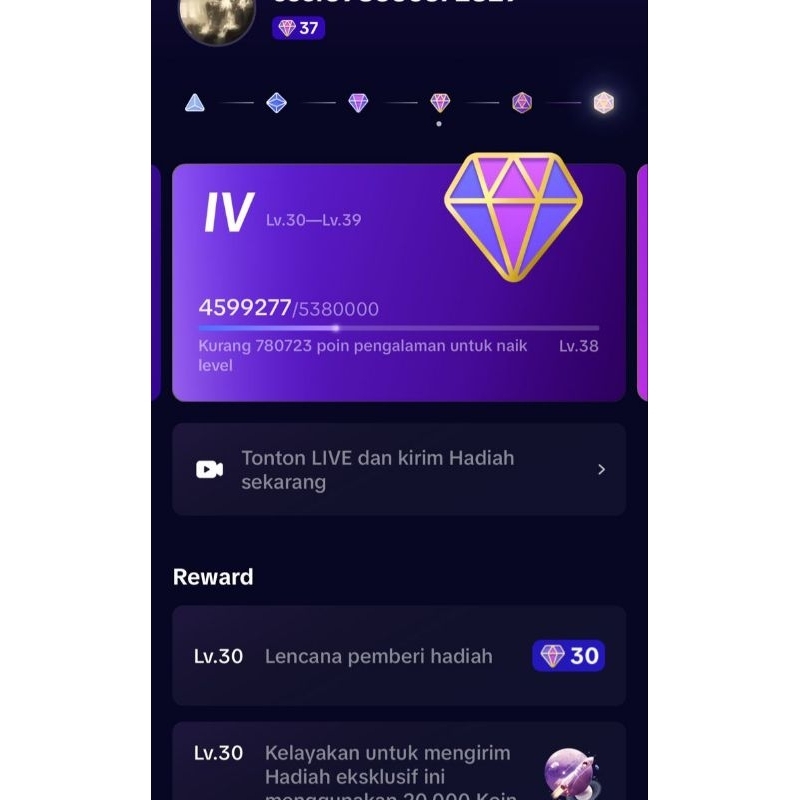 Akun Tiktok Level 37 Pay Indo