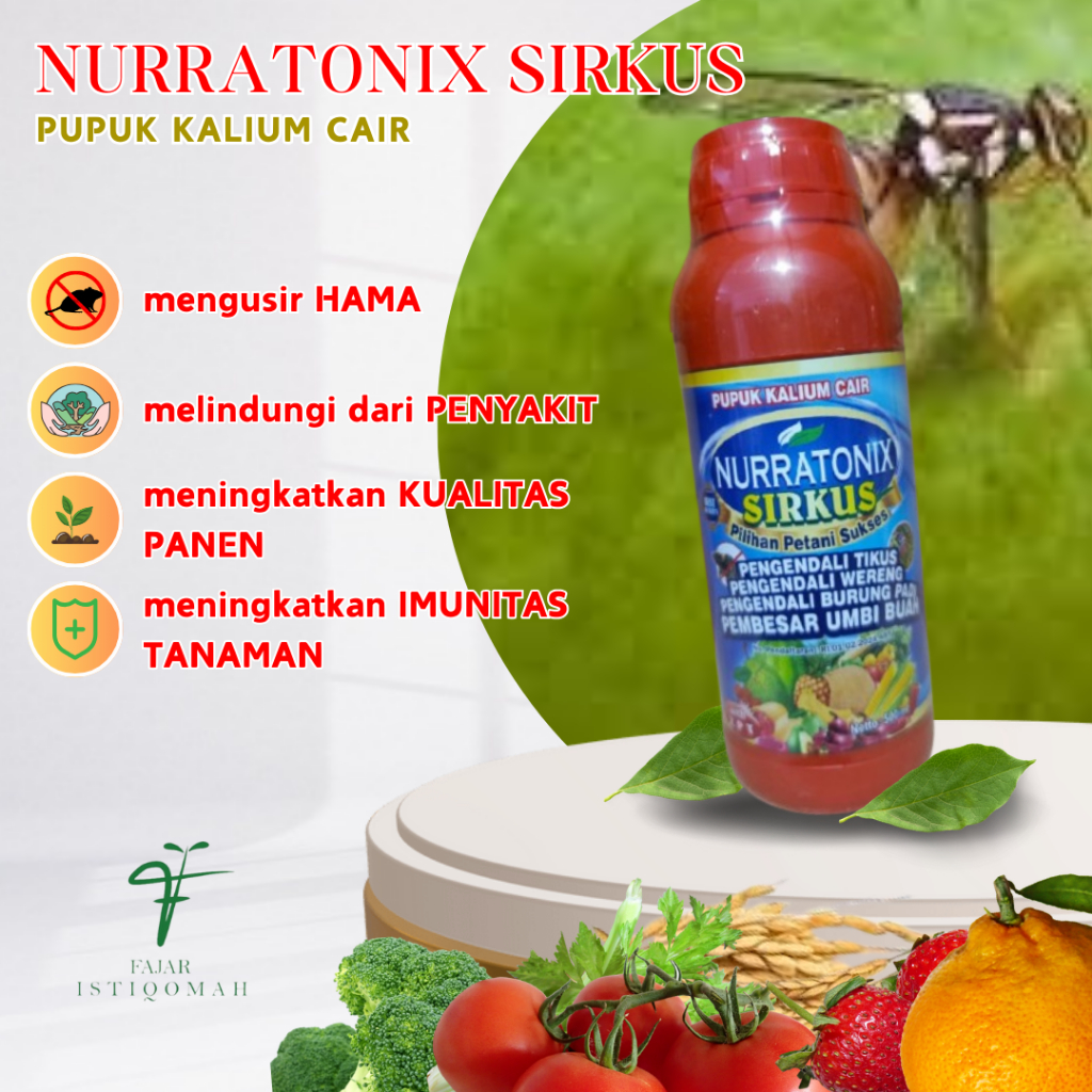 NURRATONIX SIRKUS ISI 500ML OBAT HAMA LALAT BUAH PADA JAMBU, PENGENDALI LALAT BUAH, OBAT HAMA LALAT