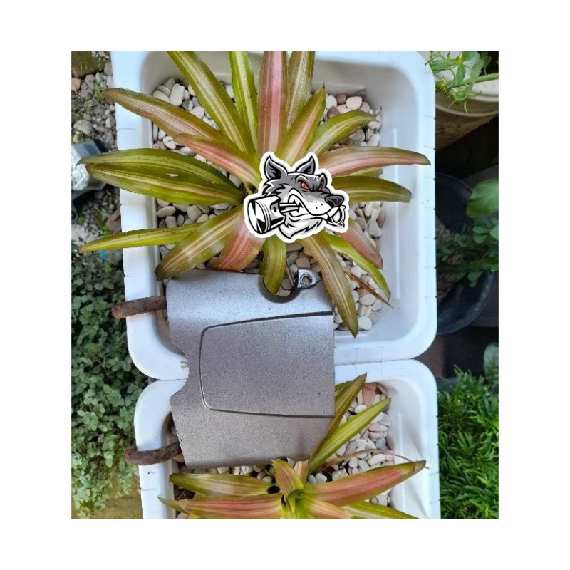 tutup gir depan honda megapro