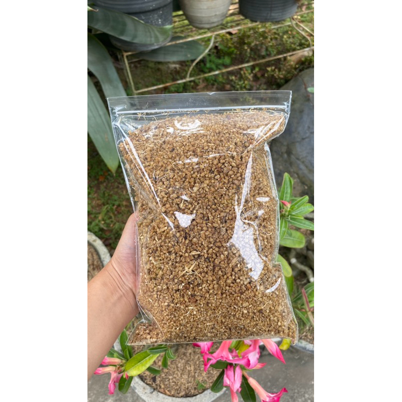 

Tiwul singkong/warna coklat/(0,5 kg, 1 kg, 2 kg)