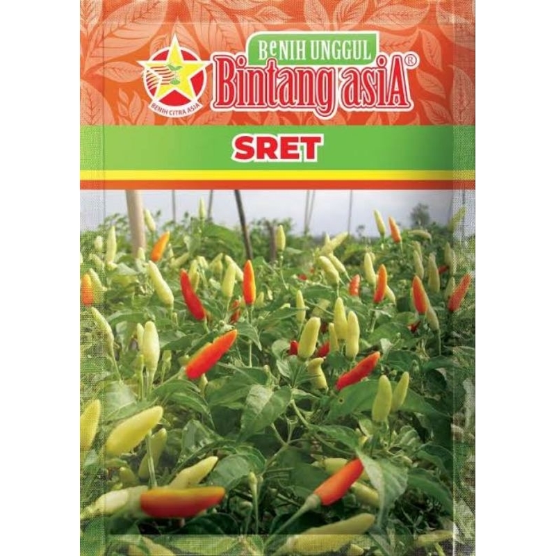 Benih Cabe Rawit SRET Bintang Asia