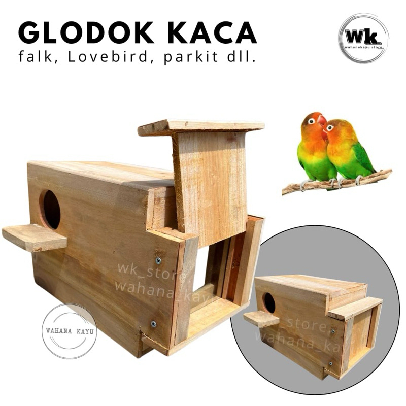 glodok kaca lovebird, parkit, falk halus kayu mahoni