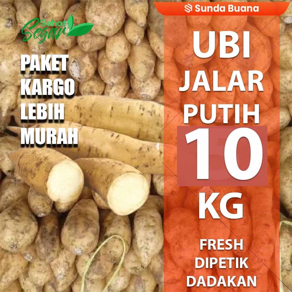 

Paket Kargo Umbi Ubi Jalar Putih 10 kg fresh kualitas unggul