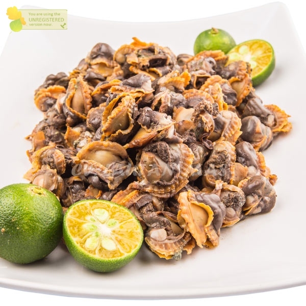 Kerang Dara Kupas Segar / Daging Kerang Dara 1Kg