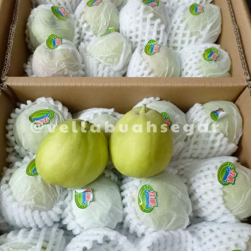 

[XIANGLIE MANIS KIRIM INSTAN/SAMEDAY] Pir Xianglie MANIS ENAK garing