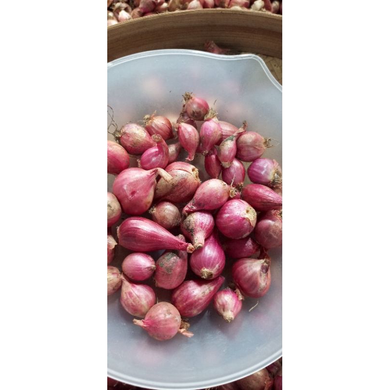 

Bawang Merah Lokal Nganjuk 1kg Uk Sedang dan kecil