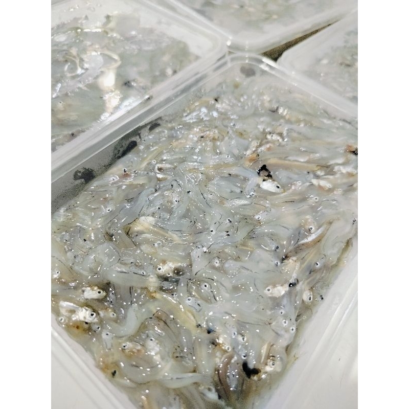 

Teri nasi basah 1/2 kg ( bagus buat MPASI)