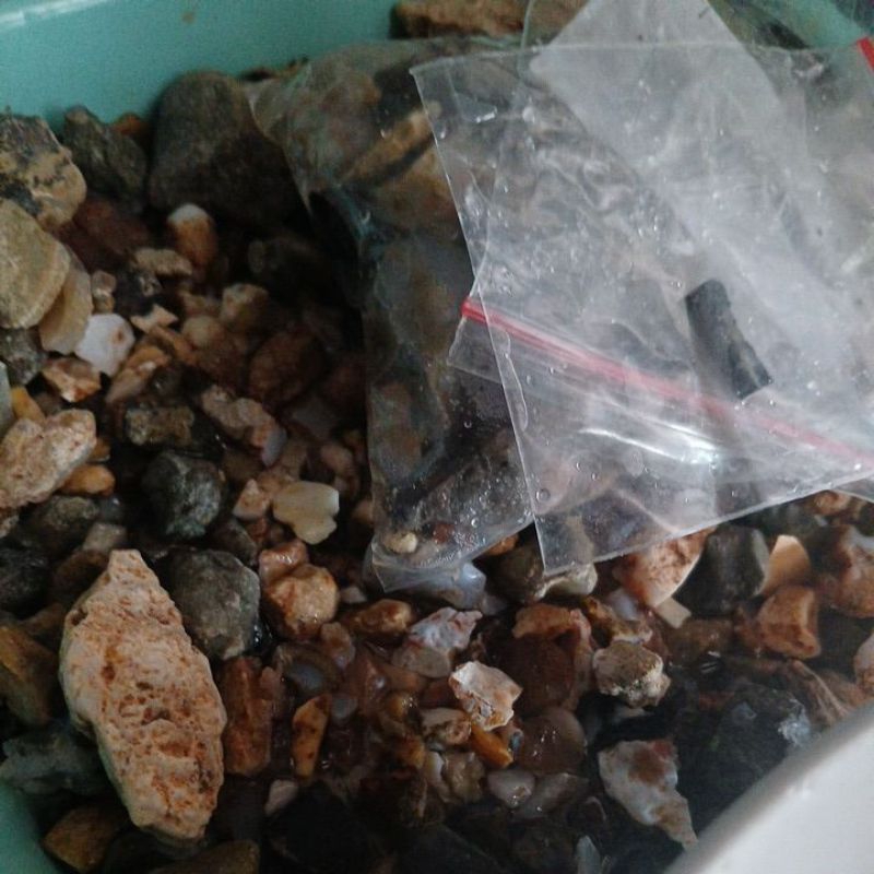 Layangan seot turnamen by zemper