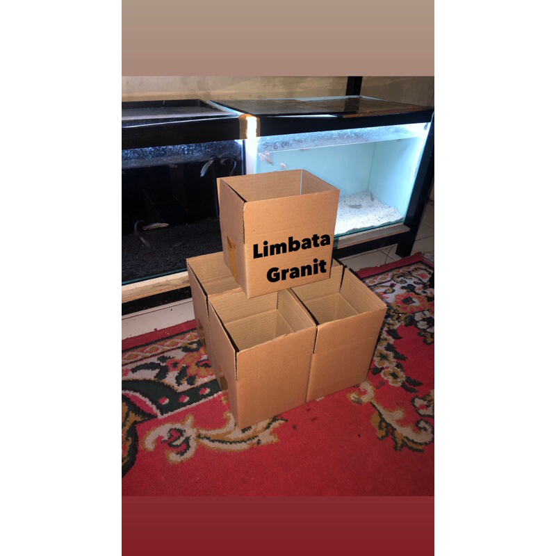 

Kardus Limbata Granit (single tank)