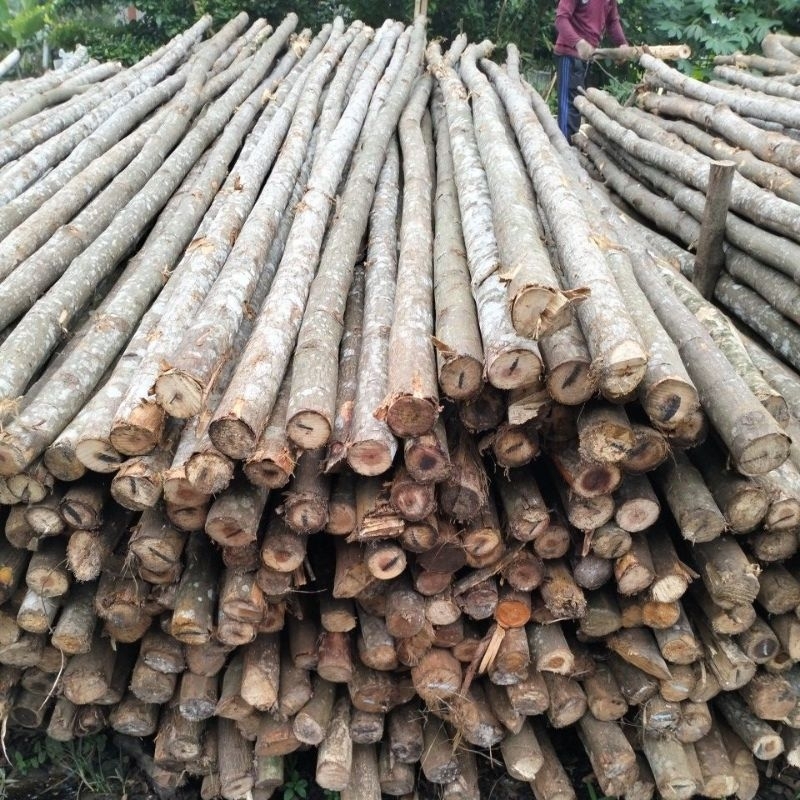 kayu dolken crucuk/steger ukuran bulatan 6,7 cm