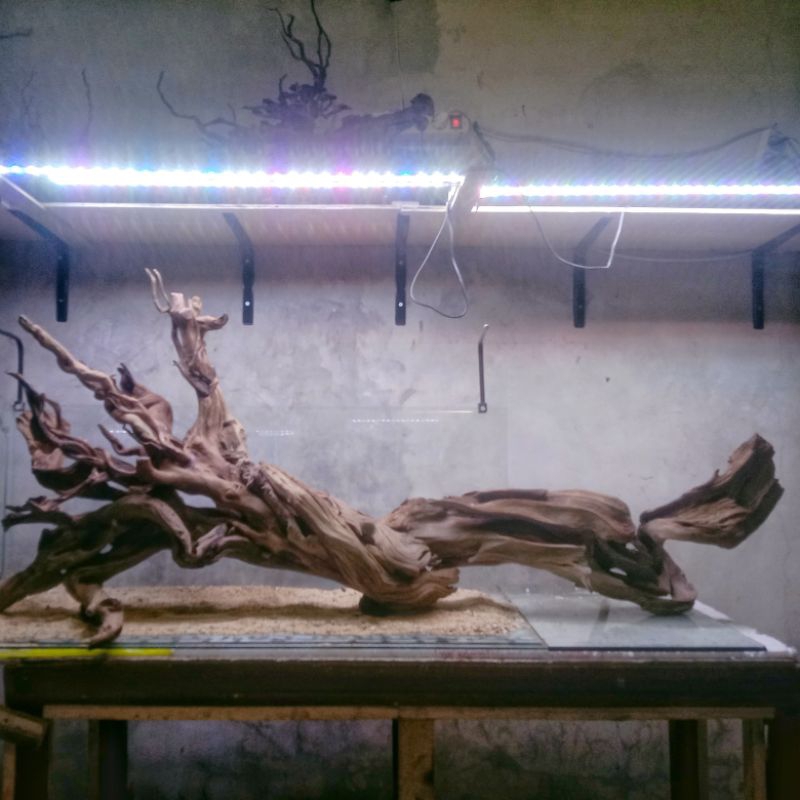 Hardscape Natural dan Hardscape Bonsai santigi For tank Mulai dari 100cm