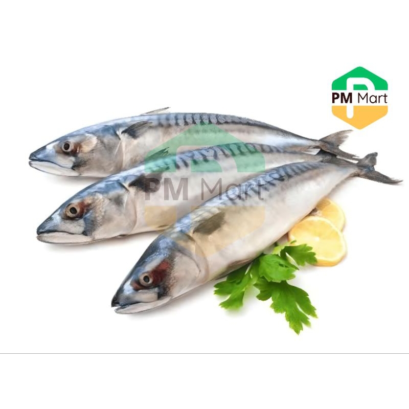 Ikan Tengiri Segar 500 Gram