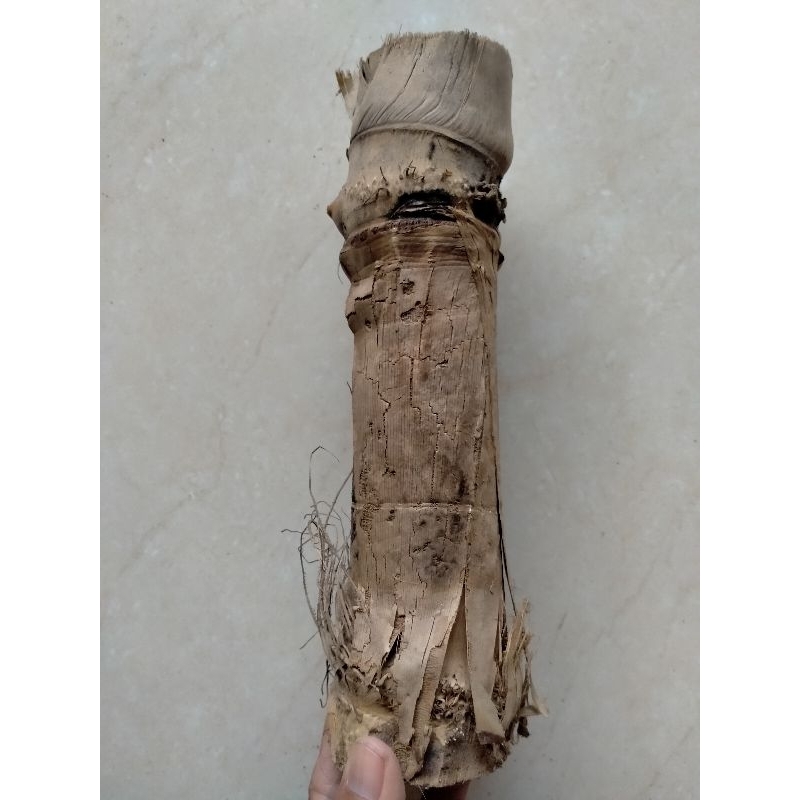 BAMBU UNIK PETUK SLUMPRING PENUH/TUMPANGSARI WOW