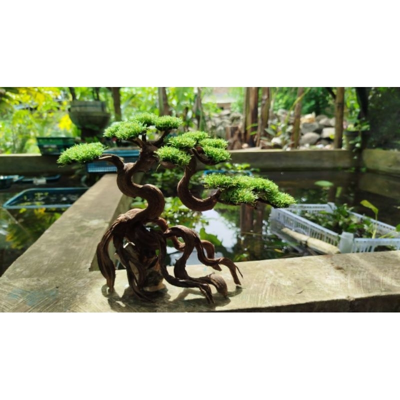GROSIR HARDSCAPE AQUASCAPE NATURAL MURAH