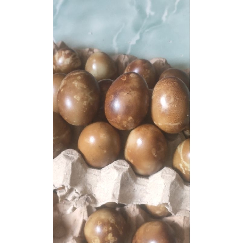 

TERUL ASIN BAKAR 10 butir (MEDIA BATOK KELAPA ASLI)